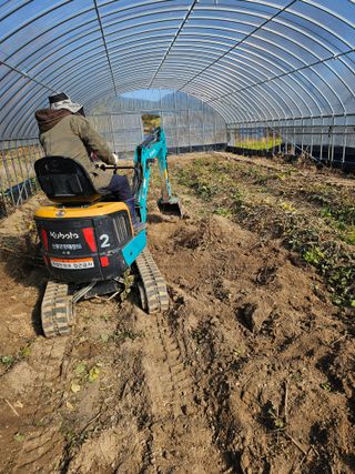 김두영님의 자유주제 · 자유게시판 작성글 사진