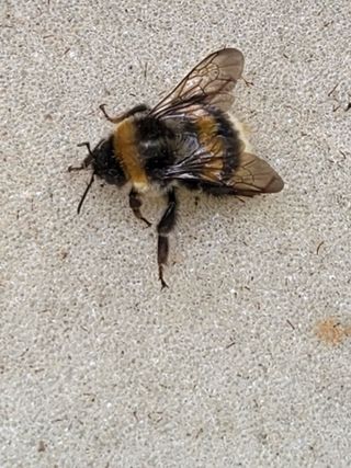 안성화님의 작성글 사진