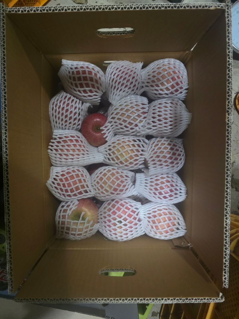 사과청일농원🍎님의 장터 판매 상품 [청송흠집사과10kg ] 첨부 사진