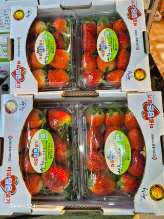 안성화님의 작성글 사진