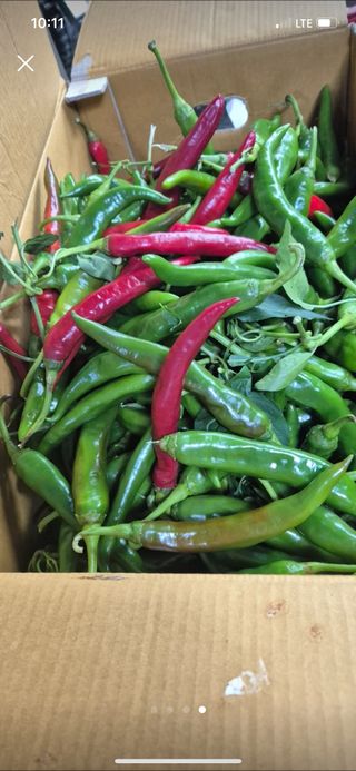 호동댁님의 작성글 사진