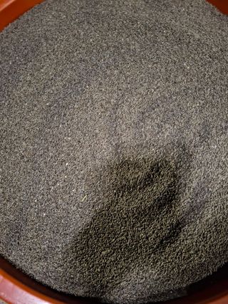 강정순님의 자유주제 · 자유게시판 작성글 사진