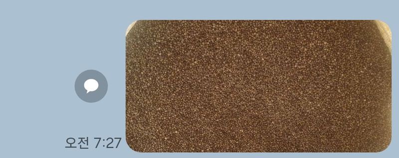 이종록님의 장터 판매 상품 [들깨] 첨부 사진