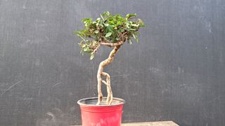 이정운님의 자유주제 · 자유게시판 작성글 사진