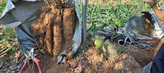 장준재님의 자유주제 · 자유게시판 작성글 사진