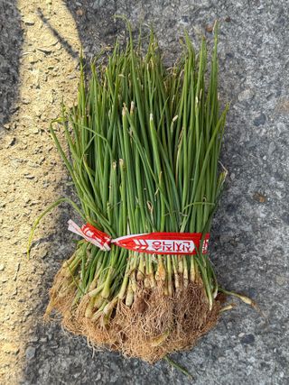 이영민님의 작성글 사진