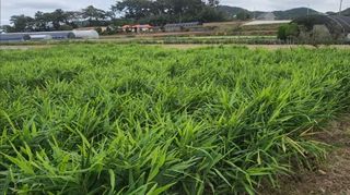 조새힘님의 자유주제 · 자유게시판 작성글 사진