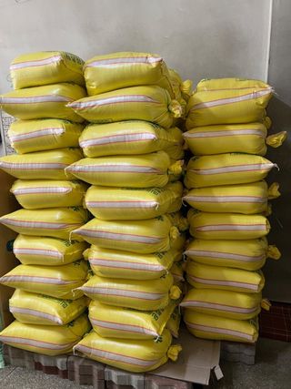 마늘17273님의 자유주제 · 자유게시판 작성글 사진