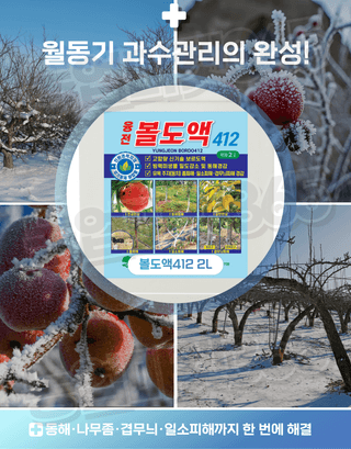 농업마켓365님의 작성글 사진