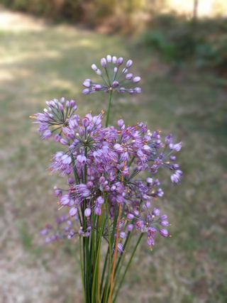 연향님의 자유주제 · 자유게시판 작성글 사진