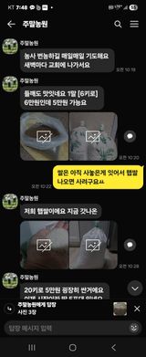 팜모닝 자유주제·자유게시판 게시글 이미지