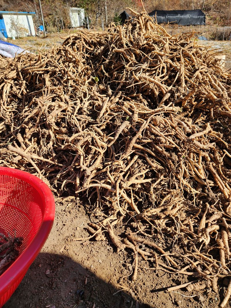 장터 상품 [도라지 4키로 ] 썸네일