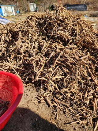 윤미선(농경채인증님의 작성글 사진