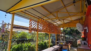 LUCAS님의 자유주제 · 자유게시판 작성글 사진