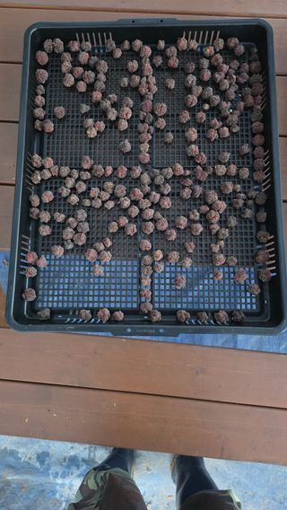 _고성농장님의 작성글 사진