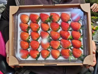 안성화님의 작성글 사진