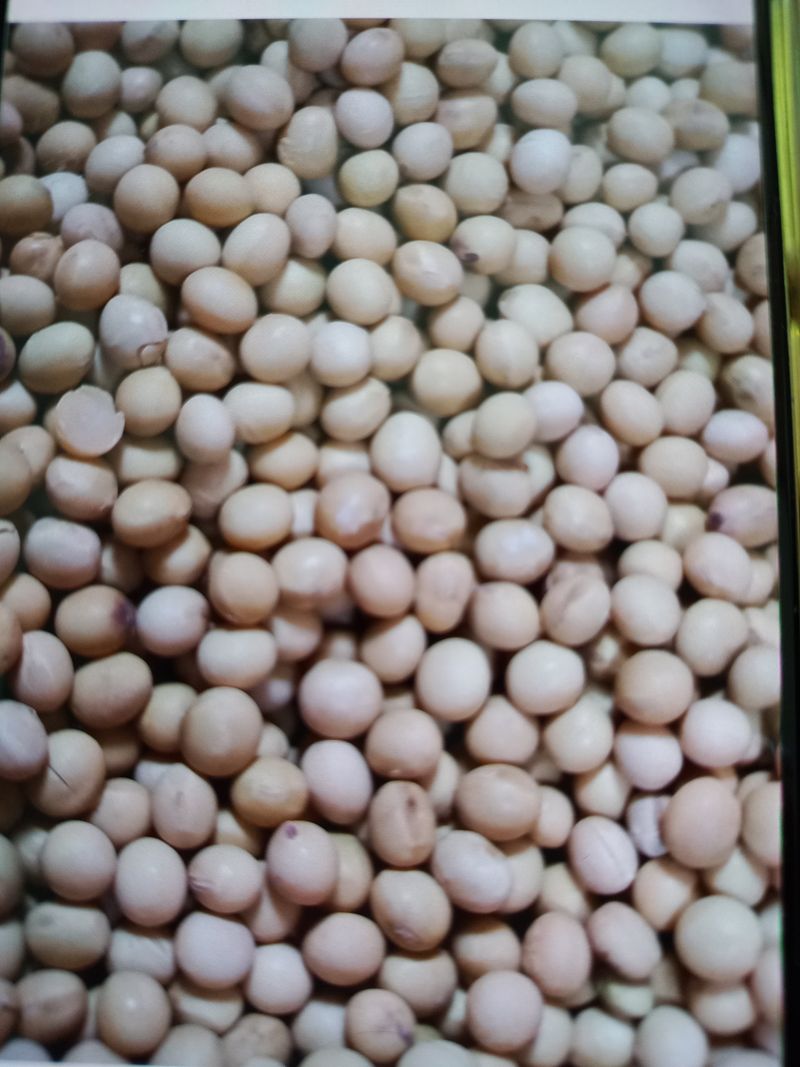 장터 상품 [메주콩] 썸네일