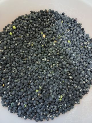 심무재 님의 농사, 무엇이든 물어보세요! · 참여글 작성글 사진