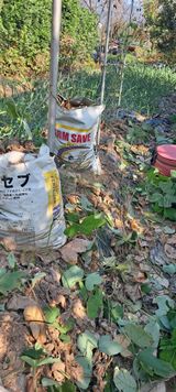 팜모닝 자유주제·자유게시판 게시글 이미지