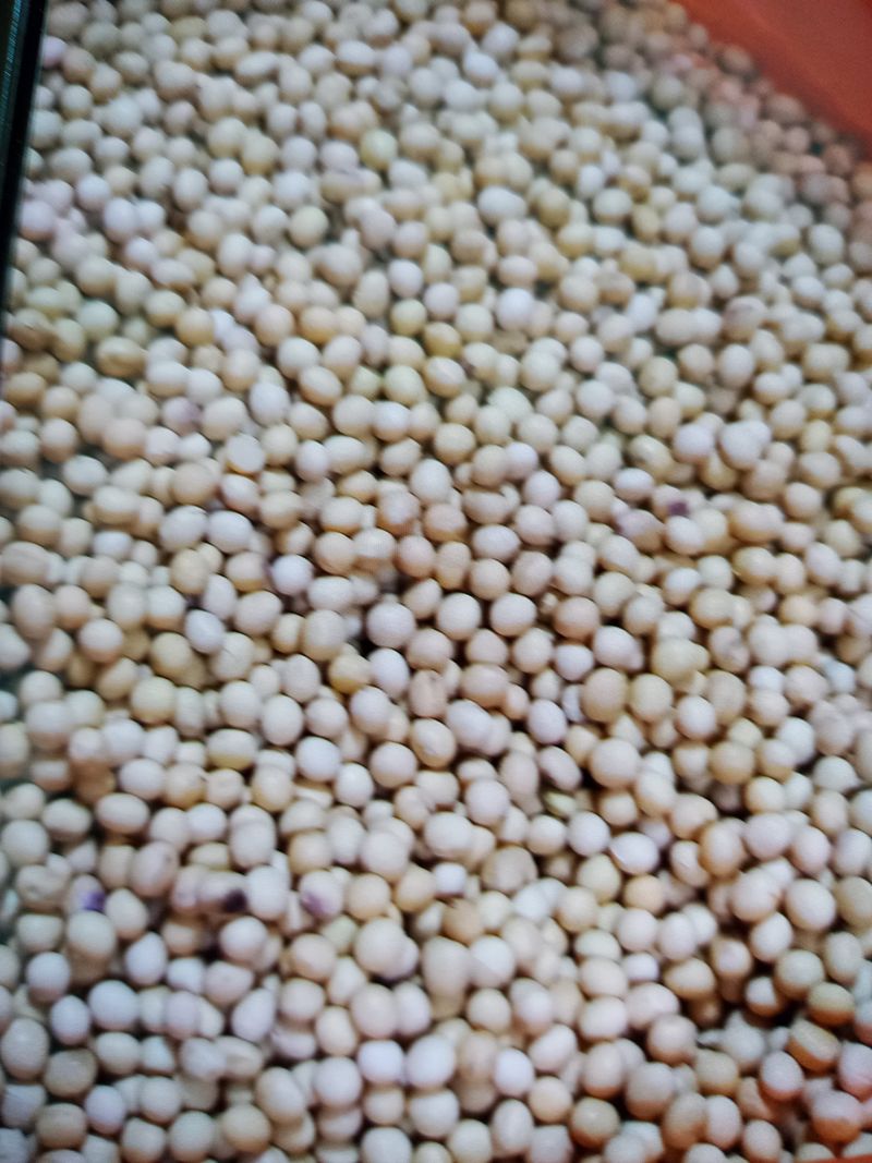 정연실님의 장터 판매 상품 [메주콩] 첨부 사진