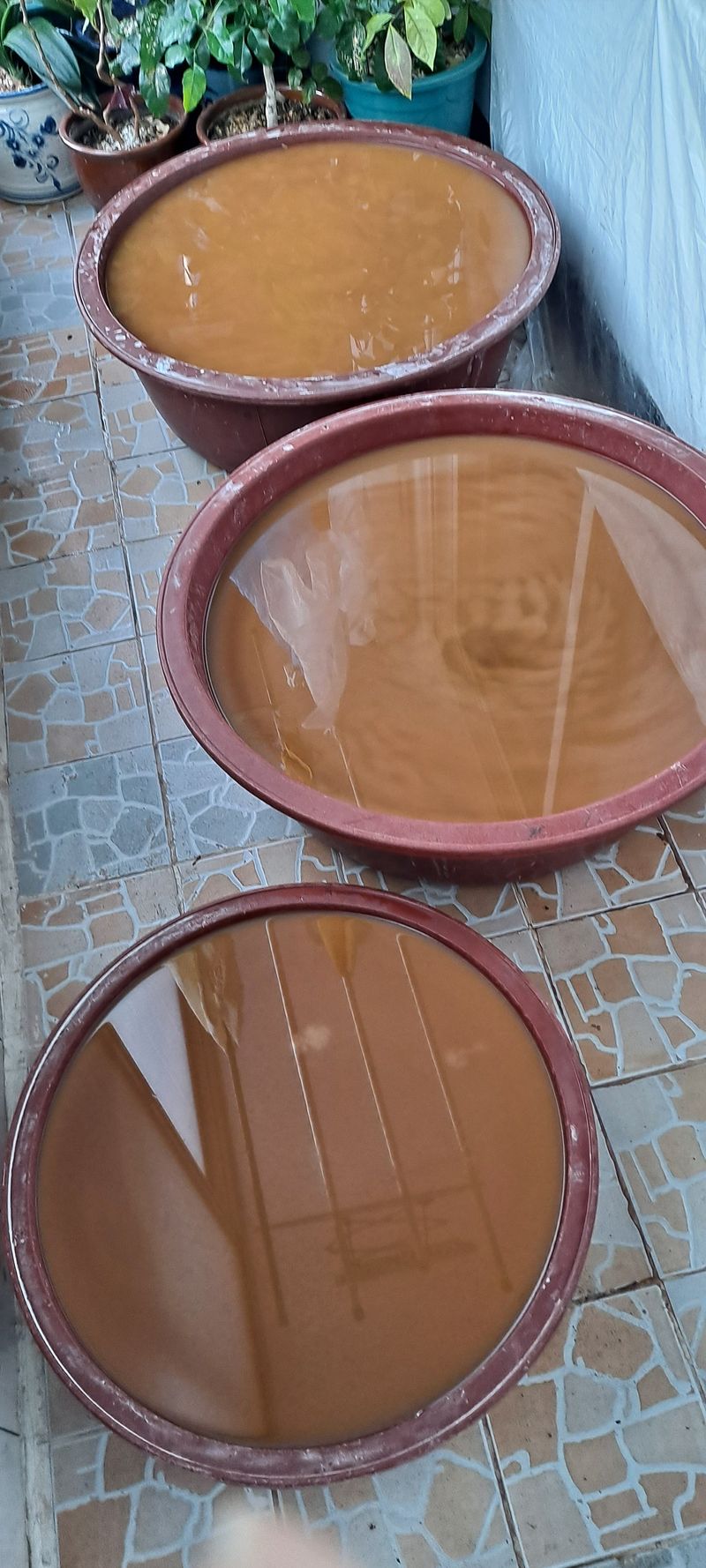 횡성농원님의 장터 판매 상품 [도토리가루1kg] 첨부 사진