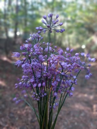 연향님의 자유주제 · 자유게시판 작성글 사진