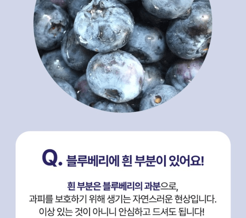스피드번님의 장터 판매 상품 [생 블루베리] 첨부 사진