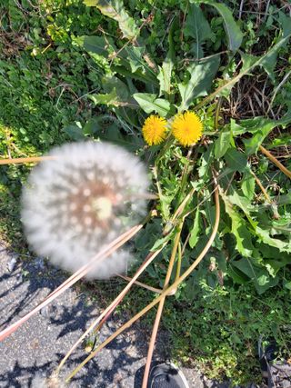 MSG0074님의 자유주제 · 자유게시판 작성글 사진