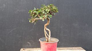 이정운님의 자유주제 · 자유게시판 작성글 사진