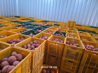 화성농원님의 자유주제 · 자유게시판 작성글 사진