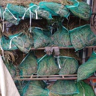 삼성농산님의 자유주제 · 자유게시판 작성글 사진