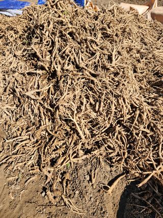 윤미선(농경채인증님의 작성글 사진