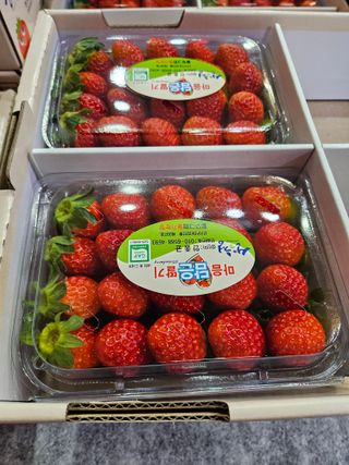 안성화님의 작성글 사진