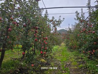 화성농원님의 자유주제 · 자유게시판 작성글 사진