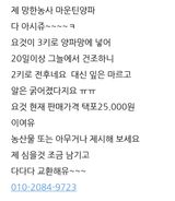 팜모닝 자유주제·자유게시판 게시글 이미지