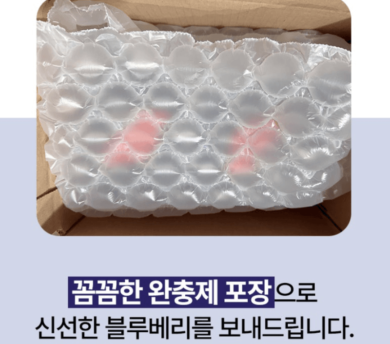 스피드번님의 장터 판매 상품 [생 블루베리] 첨부 사진