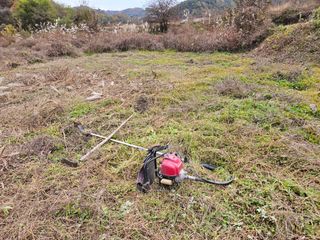 김용석님의 자유주제 · 자유게시판 작성글 사진