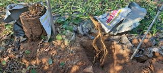 장준재님의 자유주제 · 자유게시판 작성글 사진