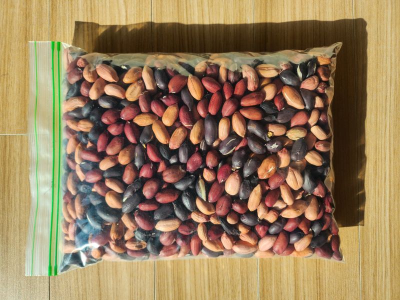 장터 상품 [삼색땅콩(일반,자색,검정)1kg] 썸네일