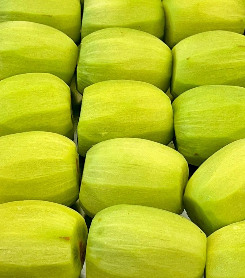 농부손녀님의 장터 판매 상품 [[슈퍼푸드 그린키위] 왕실황제 키위 5kg 10kg] 첨부 사진