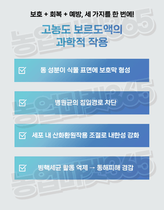 농업마켓365님의 작성글 사진