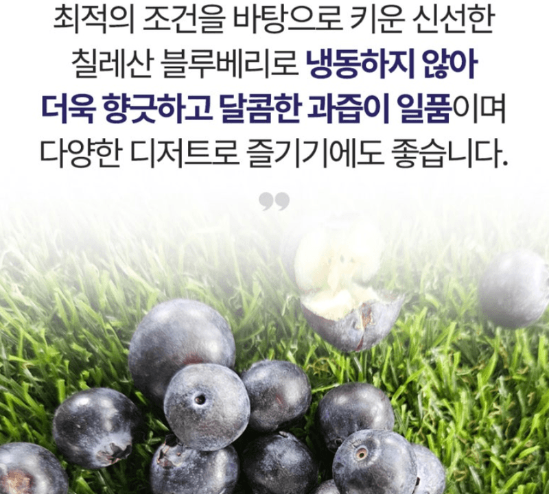 스피드번님의 장터 판매 상품 [생 블루베리] 첨부 사진