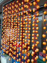 팜모닝 자유주제·자유게시판 게시글 이미지