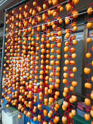 knlee님의 자유주제 · 자유게시판 작성글 사진