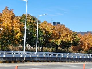 MSG0074님의 자유주제 · 자유게시판 작성글 사진