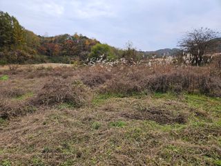 김용석님의 자유주제 · 자유게시판 작성글 사진