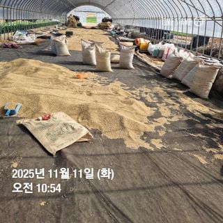 민들레님의 자유주제 · 자유게시판 작성글 사진