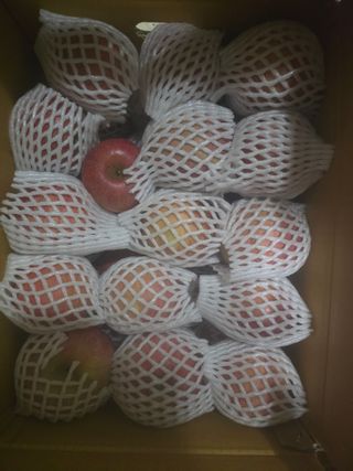 사과청일농원🍎님의 작성글 사진