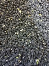 심무재 님의 농사, 무엇이든 물어보세요!·참여글 작성글 사진