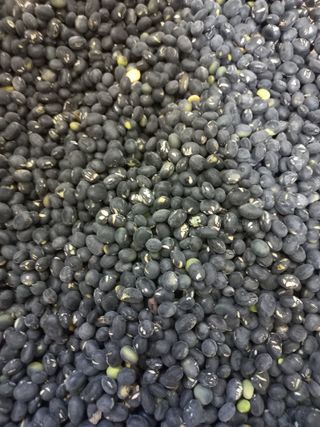 심무재 님의 농사, 무엇이든 물어보세요! · 참여글 작성글 사진